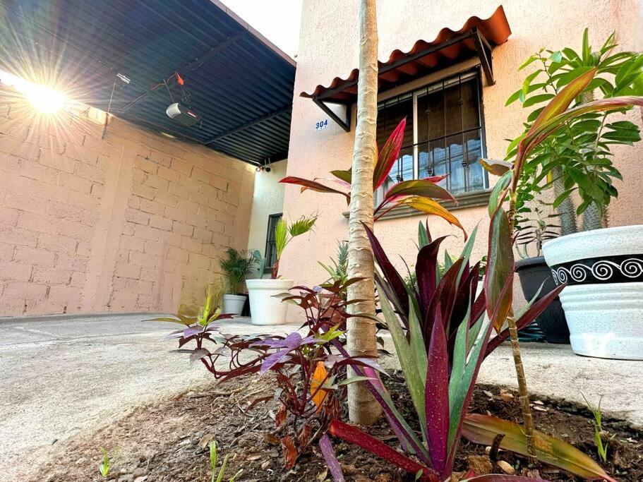 Your In Paradise Sleeps 11 Сasa de vacaciones Puerto Vallarta